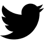 twitter-icon